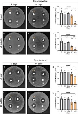 Effect of Sunlight on the Efficacy of Commercial Antibiotics Used in Agriculture